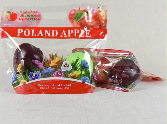 Poche adaptée aux besoins du client ISO9001 de sac de conditionnement en plastique de tirette de brouillard de PE de BOPP anti pour des fruits